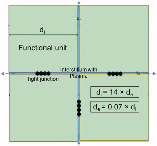 Figure 3. Simplified model of normal tissue such as muscle or liver. The extracellular space has a share of 20%, yielding this scale drawing (see text). Therefore, the functional units are considerably larger than the tumor cell cluster of Figure 2 and de ≪ di. Because of the narrow interstitium of only a few micrometer, the membrane accessibility as regards electrical processes may be reduced. The membrane area is further decreased by the interconnections between the normal tissue cells (e.g., tight junctions), as sketched between the functional units.