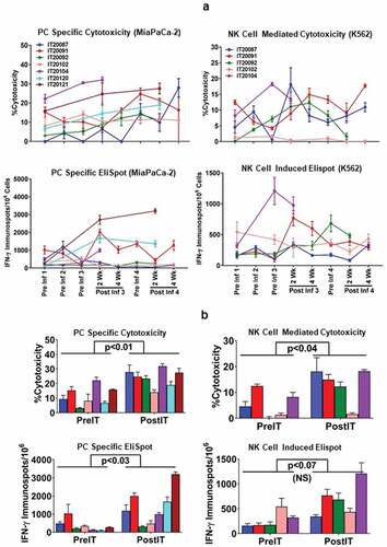 Figure 2. (a).PBMC from all seven PC patients were tested for direct cytotoxicity and IFN-γ Elispots responses against MiaPaCa-2 and five phase I patients were tested against NK cell targets K562 for cytotoxicity and IFN-γ Elispots responses; 2b) Shows the highest specific (MiaPaCa-2) and innate (K562) cytotoxic and IFN-γ Elispots responses postIT compared to preIT base line responses; 2 c) IP-10 and IL-8 tested before and after immunotherapy in 7 patients; 2d) PBMC of patient IT20091 obtained at various time points were left unstimulated (background), stimulated with MiaPaCa-2, or K562. Data are expressed as number of IFN-γ Elispots per million PBMC plated at pre-IT; post BATs infusion #1, #3, and #4; 2 and 4 weeks after infusion #3; pre infusion #4; and post boost infusion at 2 and 4 weeks.