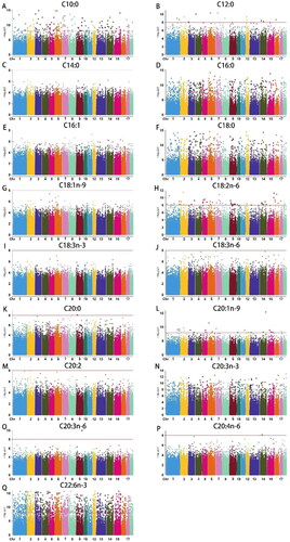 Figure 1. Manhattan plots of fatty acid traits in Epigenome-Wide Association Study (EWAS). (A) C10:0; (B) C12:0; (C) C14:0; (D) C16:0; (E) C16:1; (F) C18:0; (G) C18:1n-9; (H) C18:2n-6; (I) C18:3n-3; (J) C18:3n-6; (K) C20:0; (L) C20:1n-9; (M) C20:2; (N) C20:3n-3; (O) C20:3n-6; (P) C20:4n-6; (Q) C22:6n-3.Note: The x-axis represents the chromosome and the y-axis represents the significant of all CpG sites, represented by -log10(P-value). The red line represents the genome level significance threshold based on 0.05/N, where N is the number of CpG sites.
