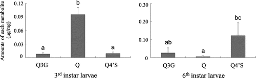 Fig. 2. Amounts of quercetin metabolites identified in the frass of 3rd (left) and 6th (right) instar larvae fed the 1% quercetin diet (mean ± SD, n = 5).Note: Quercetin 3-O-glucoside (Q3G), quercetin (Q), and quercetin 4′-O-sulfate (Q4′S) are shown. Different letters represent significant differences (p < 0.05, Tukey–Kramer HSD test for multiple comparisons).