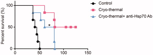 Figure 5. The survival time of mice received cryo-thermal therapy following HSP70 neutralization in vivo. Kaplan-Meier survival curves were compared using log-rank tests. Six mice in each group, *p < .05.