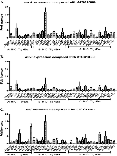 Fig. 1 Relative gene expression, expressed as fold change, of the acrAB-tolC efflux pump in 37 clinical K. pneumoniae isolates.Expression levels were detected by qRT-PCR, with tigecycline-susceptible K. pneumoniae, ATCC 13883 used as the reference strain (expression = 1)