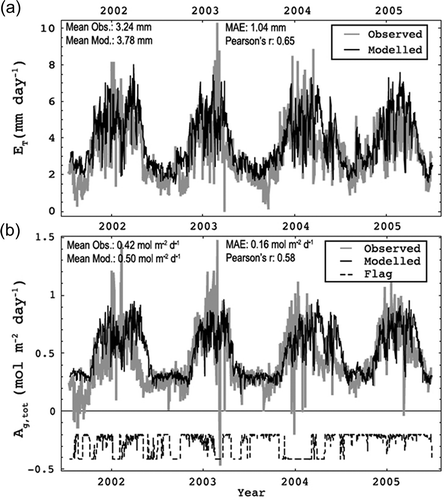 Fig. 11 Modelled (black) and observed (grey) daily (a) evapotranspiration rates (ET) and (b) net CO2 assimilation rates (Ag,tot). The means of the observed and modelled time series are given, together with the mean absolute errors (MAE) and Pearson’s r values, indicating the goodness of fit (from Schymanski et al. 2009, © 2009 John Wiley and Sons, Ltd.).