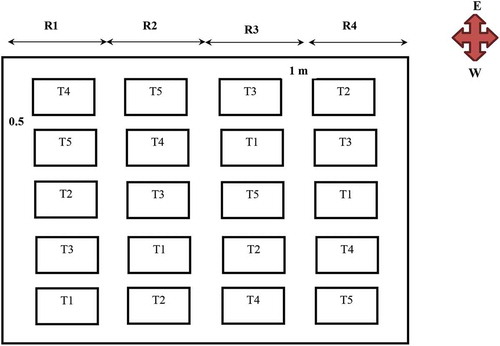 Figure 2. Figurative representations of treatments and replications used in the research.