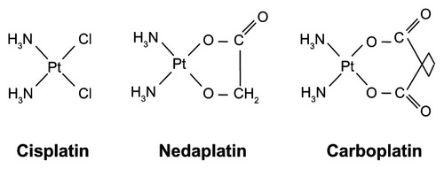 Figure 1 Platinum agents (cisplatin, nedaplatin, and carboplatin).
