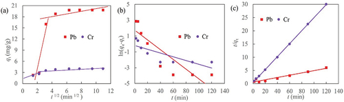 Figure 3. Adsorption characteristics of lead and chromium by biochar (a) intra-particle diffusion model, (b) pseudo-first-order kinetic model and (c) pseudo-second-order kinetic model.