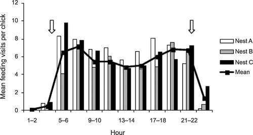 Figure 2 The diurnal pattern of feeding visits at three nests by adult Slavonian Grebes in Scotland. Arrows indicate approximate times of dawn and dusk. The three sets of columns represent the three nests.