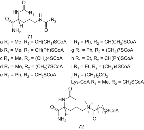 Scheme 36.  Bisubstrate analogs 71 and 72 for histone acetyltransferases.