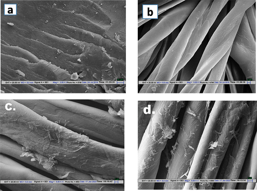 Figure 2. SEM micrographs of composite (a), untreated cotton fabric (b), composite-coated cotton fabric (c), composite-coated cotton fabric with citric acid (d).