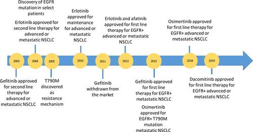 Figure 1 Epidermal growth factor receptor timeline.