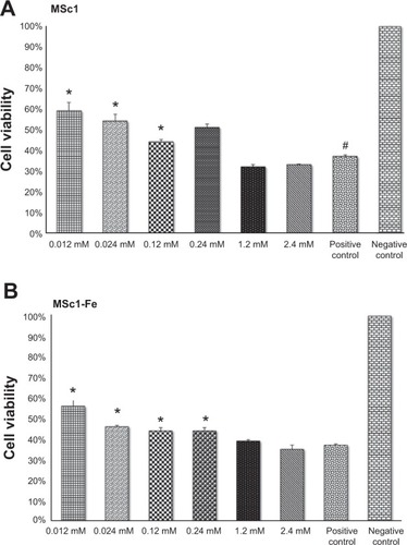 Figure 2 PC12 cell protection from H2O2-induced oxidative toxicity by MSc1 (A) and MSc1-Fe (B).Notes: *P<0.05; #significant difference was determined by comparison to this group.Abbreviation: PC, pheochromocytoma.