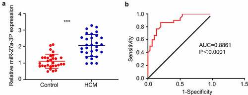 Figure 1. MiR-27a-3p is upregulated in peripheral blood samples of patients with cardiac hypertrophy. (a) RT-qPCR analysis of miR-27a-3p level in the peripheral blood samples of 30 patients with cardiac hypertrophy and 30 healthy controls. GAPDH was used as the housekeeping gene for normalization in all the following experiment. (b) AUC curve analysis of the predictability of miR-27a-3p in diagnosis of cardiac hypertrophy in blood samples. ***P < 0.001.