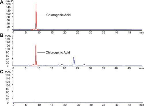 Figure 5 High-performance liquid chromatography (HPLC) profile of (A) chlorogenic acid, (B) Lonicerae japonicae Flos (LJF), and (C) Lonicerae japonicae Flos carbonisata-derived carbon dots (LJFC-CDs).