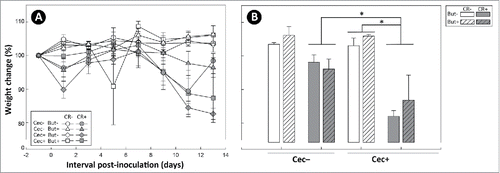 Figure 9. (A) Temporal change in body weight, and (B) change in body weight at 13 days after administration of Citrobacter rodentium or PBS. Mice that received sham (Cec-) or cecectomy (Cec+) surgeries, were orally administered PBS (CR-) or C. rodentium (CR+), and received enemas containing PBS (But-) or butyrate (But+). Vertical lines associated with markers or histogram bars represent standard error of the means (n = three to five mice/treatment). *P ≤ 0.050.
