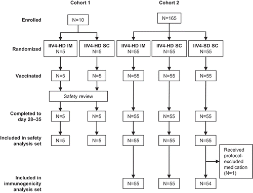 Figure 1. Study design and participant disposition.