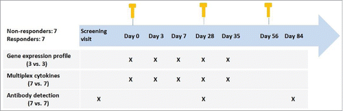 Figure 7. Study design and assays performed.