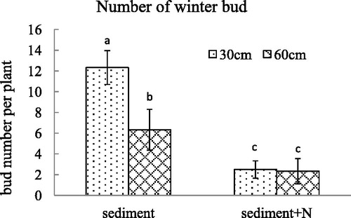 Figure 6. The winter bud number (mean ± SE) per V. spinulosa growing on different sediments at two water depths. Different small letters above columns indicate significant differences between treatments.