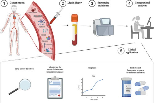 Figure 2. Laboratory methods and clinical applications of liquid biopsy in cancer screening, monitoring, therapeutic prediction, and treatment selection. From a liquid biopsy (i.e. blood sample), circulating tumour cells, point mutations, amplifications and deletions, chromosomal abnormalities, protein expression and phosphorylation, translocations, and epigenetic modifications can be detected using a variety of genetic sequencing technologies. Followed with sophisticated computational analyses, this novel laboratory technique can be used in early cancer detection, disease monitoring, prognosis, predicting response to therapy, and providing personalized drug selection.