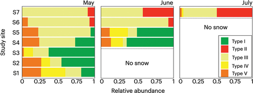 Figure 3. Seasonal and altitudinal variations in compositions of algal morphological types represented by cell number on the snow surface of Mount Gassan from May to July 2019. No snow remained at the sites below the dashed lines.