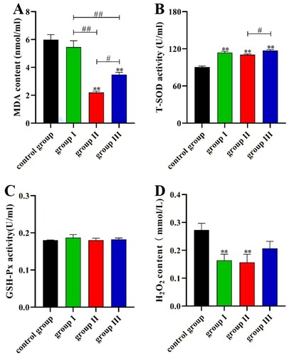 Figure 3. Serum oxidative stress level of broilers. (A) MDA content, (B) SOD activity, (C) GSH activity, (D) H2O2 content. * indicates significant difference compared to the corresponding control (*P < 0.05, **P < 0.01). # indicates statistically significant difference between corresponding groups (# P < 0.05, ## P < 0.01).