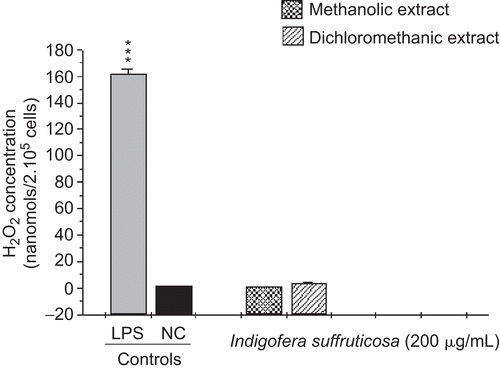 Figure 3.  Induction of hydrogen peroxide (H2O2) production by methanolic and dichloromethanic extracts of I. suffruticosa from peritoneal macrophages. Cells incubated with phorbol myristate acetate (0.2 mM) were used as a positive control (C+) and cells in potassium phosphate buffer as a negative control (C–). Data are reported as mean ± SD for at least four independent experiments carried out in triplicate.