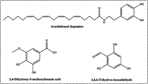 Figure 1. The chemical structure of phenolic compounds, including arachidonoyl dopamine, 3,4-dihydroxy-5-methoxybenzoic acid and 2,4,6-trihydroxybenzaldehyde as inhibitors for hCA I and II isozymes.