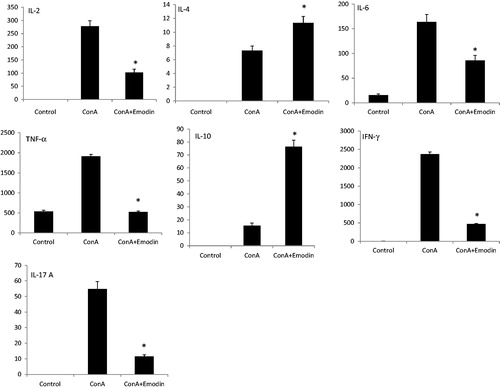 Figure 6. Emodin-related regulation of cellular production of cytokines. The levels of TH1/TH2/TH17 cytokines (in pg/ml; IL-2, IL-4, IL-6 TNF-α, IL-10, IL-17, and IFN-γ) were analyzed in medium recovered from cultures of the splenocytes in the presence of emodin and ConA. Cytokine levels were quantified by FACS. Experiments were performed in triplicate. Data shown are mean ± SD. Significantly different from ConA (10 µg/ml) group at *p < 0.001.