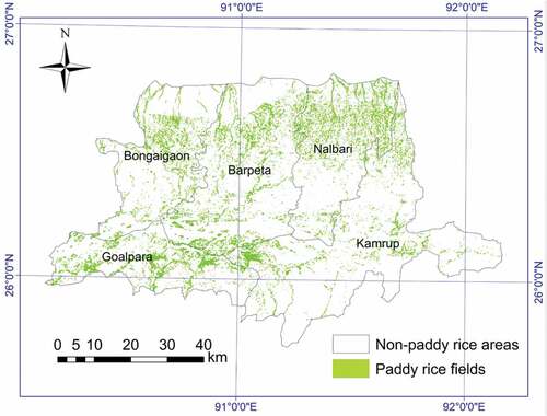 Figure 9. The paddy rice planting area map at 30 m spatial resolution, identified by the C4.5 classifier using the top 5 important features