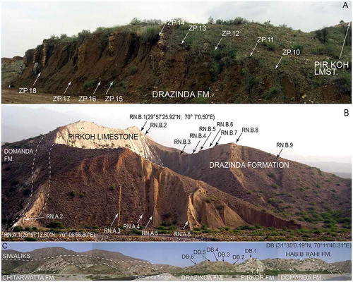 Figure 4. Field aspects of Pirkoh Limestone and Drazinda Formation from Sulaiman Range in Pakistan and sampling points (from Ali et al., Citation2018).