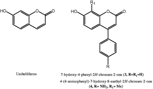 Figure 2. Chemical structures of umbelliferon, 3 and 4 as coumarin-based hCAIs.