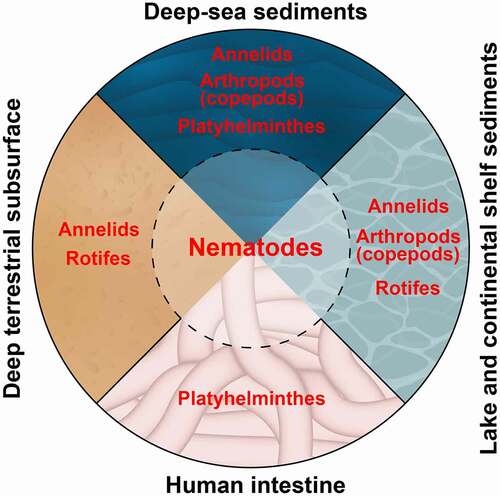 Figure 1. Nematodes dominate different types of extreme environments