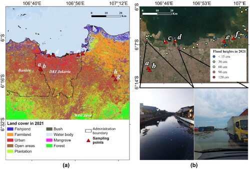 Figure 9. (a) Land cover (LC) in 2021 derived from random Forest-supervised classification and significant subsidence locations analyzed in the subsequent chapter, (b) flood occurrences in 2021 obtained from quantitative surveys and photo documentation of remaining flood inundation at significant locations. (LC data source: Planetscope imagery; photo source: field observation by the authors, taken on July 29, 2022).