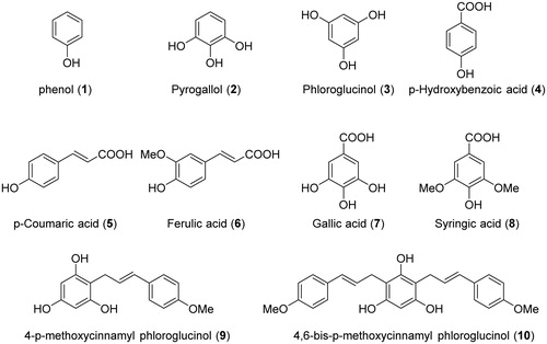 Figure 1. Chemical structures of phenolic compounds and synthesized compounds.