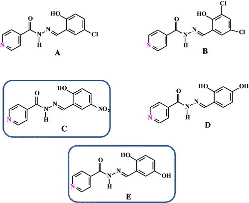 Figure 2. Structures of aroylhydrazones derived from isonicotinic acid hydrazide.