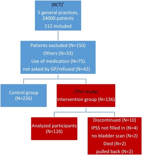 Figure 1 Study participants flow chart. *The study population of this study is part of a RCT.