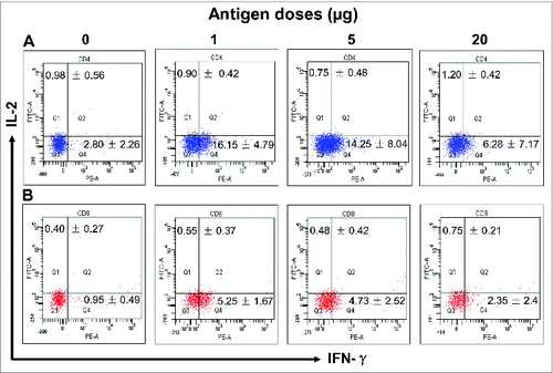 Figure 4. Comparison of cellular immune responses induced by S377-588-Fc at different antigen doses. Mice were immunized without (0 µg) or with 1, 5, or 20 µg of S377-588-Fc, and splenocytes from 10 d post-last immunization were tested for MERS-CoV S1-specific T cell responses by flow cytometric analysis. The frequencies of IL-2-(upper left corner) and IFN-γ-(bottom right corner) producing cells were expressed as percentages of CD4+ (A) or CD8+ (B) T cells. The samples were tested in triplicate and presented as mean ± SD from 5 mice in each group.