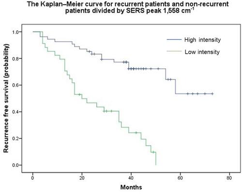 Figure 4 The Kaplan–Meier curve for recurrent patients and non-recurrent patients divided by SERS peak 1558 cm−1.