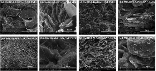 Figure 8. SEM images of tensile fracture surface of (a–d) C-MOULD-D-0.1%O2GNP-PAEK and (e–h) C-MOULD-M-0.1%O2GNP-PAEK.