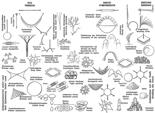 Figure 1. Structures developing from self-forming processes, classified according to the generated forces (Gaß Citation2016).