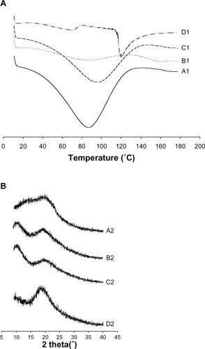 Figure 4 Differential scanning calorimetric thermograms (A) and powder X-ray diffraction (B). (A1 and B1), polyvinylpyrrolidone, (A2 and B2), silymarin powder, (C1 and C2), physical mixture, and (D1 and D2), nanoparticles.