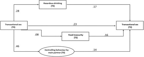 Figure 1. Structural equation model for pathways between controlling behaviours in main relationships, food insecurity, hazardous alcohol use, and transactional sex.