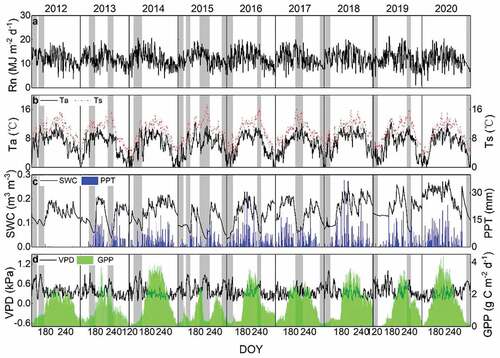 Figure 2. The variations in the GPP and the corresponding climatic factors (Rn–Net radiation; Ta–Air temperature; Ts–Soil temperature; SWC–Soil water content; PPT–Precipitation; VPD–Vapor pressure deficit) during the growing seasons. The gray areas indicate the occurrences of droughts. The precipitation data were not available in 2012.