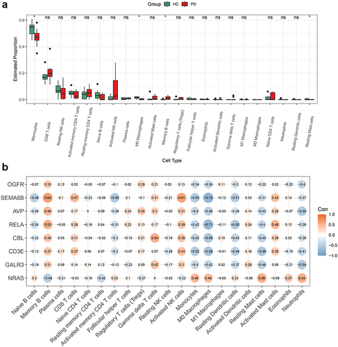 Figure 5 Analysis of immune cell infiltration in PD patients. (a) Boxplot showing the proportions of 22 immune cell types in PBMCs from PD and healthy control. Red represents the PD group, green represents the healthy control group; (b) Heat map of the correlation between eight hub genes and immune cells infiltration. The size of the dots represents the magnitude of the correlation coefficient, while the darkness of the color indicates the strength of the correlation. Blue represents a negative correlation, while Orange represents a positive correlation. *p<0.05.