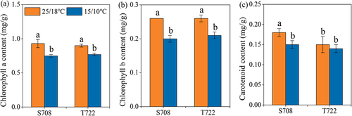 Figure 2. Chlorophyll content of the two tomato cultivars. (a) Chlorophyll a content; (b) chlorophyll b content; (c) carotenoid content of S708 and T722 cultivars at control (CK, 25/18℃) and sub-optimal temperature (T, 15/10℃). Values are the mean±SD (n=3). Different low letters above the column denote the significantly difference according to Tukey’s HSD test (p < 0.05).