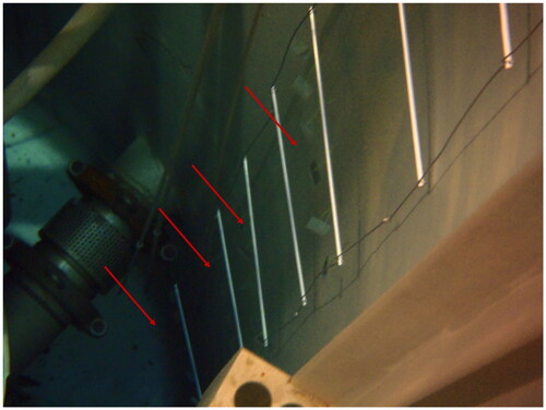 Figure 2. JSI TRIGA research reactor pool with ladder and attached glass slides. To the left of the ladder is the reactor core. Biofilm growing on the wall itself can be observed. Red arrows indicate position of the biofilm sampling glass slides. Photograph taken during glass-slide deployments on the 30 December 2014. See Figure 1 caption for placement information.