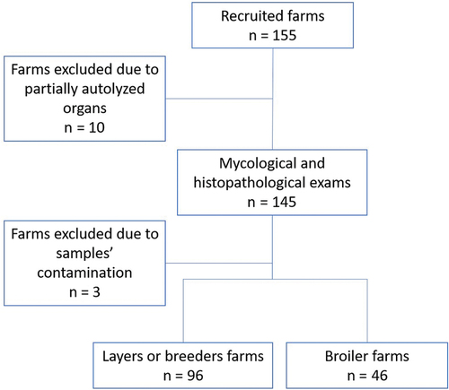 Figure 1. Flow chart presenting recruitment of farms.