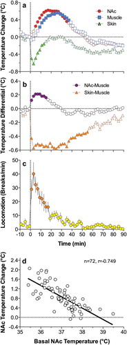 Figure 21. Changes in NAc, muscle, and skin temperature induced by iv cocaine (1 mg/kg) in freely moving rats. A = temperature changes vs. pre-injection baseline; B = temperature differentials; C = locomotor activity; D = relationships between the magnitude of cocaine-induced NAc temperature elevation and basal temperature; n = number of analyzed responses; r = coefficient of correlation. Regression line crosses the line of no effect at ~39.5°C. Data were replotted from reference [Citation222].