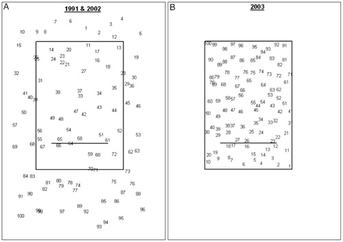 FIGURE 4. Sampling plan for (A) the larger (30 × 50 m) study site with 100 quadrat sites in a stratified random pattern, as used in 1991 and 2002, and (B) the smaller (20 × 30 m) study site with 100 quadrats (B), also distributed in a stratified random pattern, in relation to location of the snow fence (lower center) as used in 2003 and 2011.