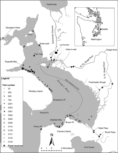 FIGURE 1 Map of Skagit River, Skagit Bay, and Swinomish Channel, Washington, including locations of bull trout detected by active relocation and locations of fixed receivers.