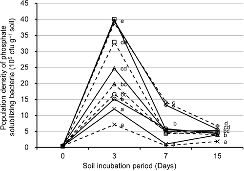 Figure 2. Changes in population density of phosphate solubilizing bacteria (PSB) of the soil treatments during the soil incubation period. Soil treatments consisted of four compost-amended treatments and a no-compost control (×) with rock phosphate (RP) addition (solid line) or without (broken line). Compost-amended treatments: (□) poultry manure; (○) cattle manure; (△), sewage sludge; (⋄) phosphorus-adjusted sawdust. Statistically homogeneous values of population density of PSB at each sampling day are marked by same letter (one-way ANOVA, P < 0.05, Fisher's test). Values are mean of three replicates.